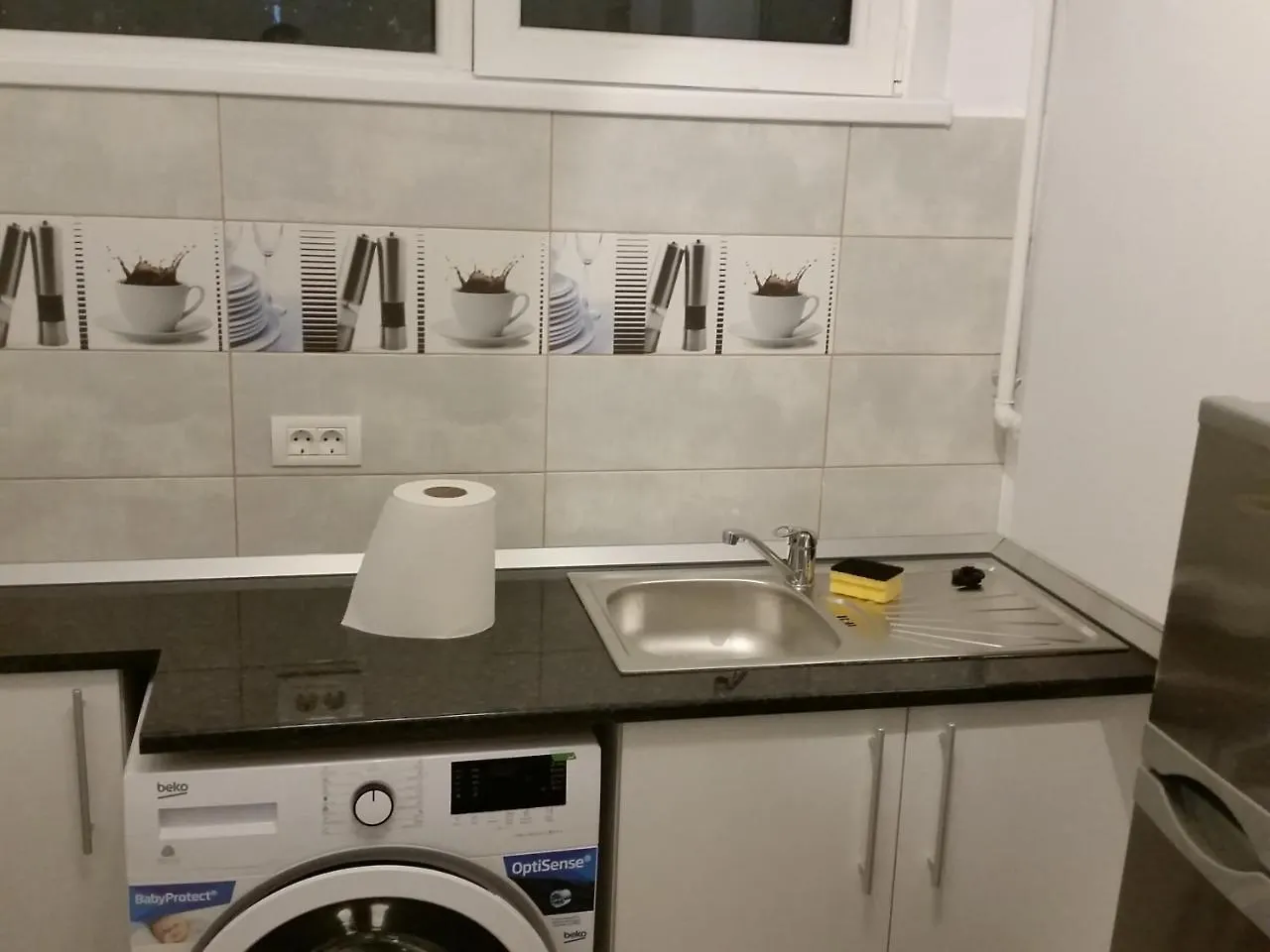 Grozavesti Apartment Near Politehnic Park Bucarest 0*,